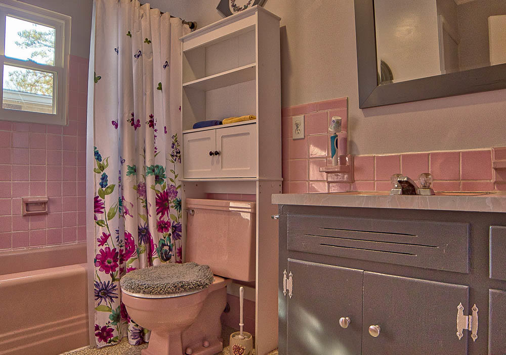 11033 Apison Pike Apison, TN 37302 - Photo 17 of 28 bathroom