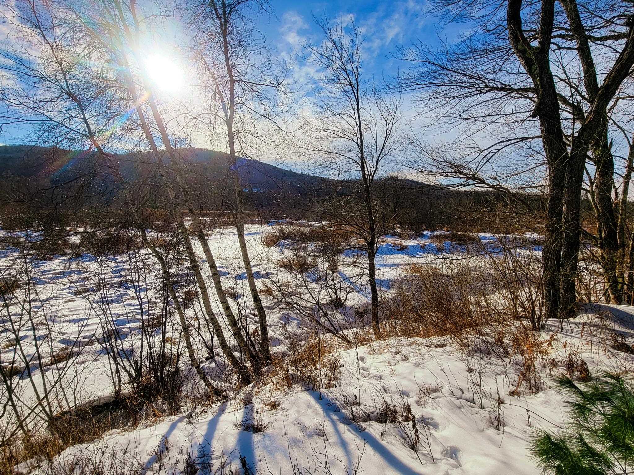 520 East Whitefield Road Dalton, NH 03598 - Photo 31 of 40