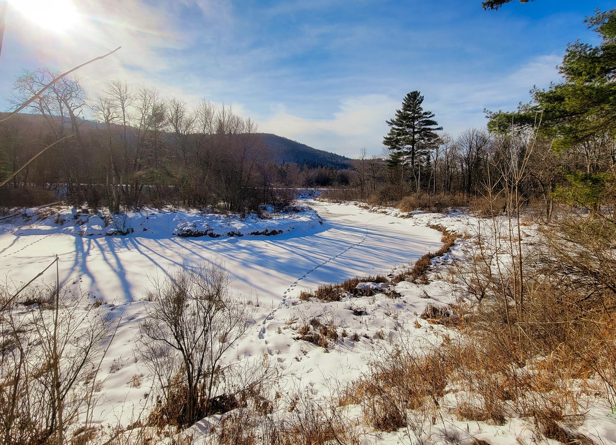 520 East Whitefield Road Dalton, NH 03598 - Photo 5 of 40