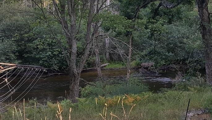 10997 South Stephan Bridge Road Roscommon, MI 48653 - Photo 12 of 12 Gallery Image 12