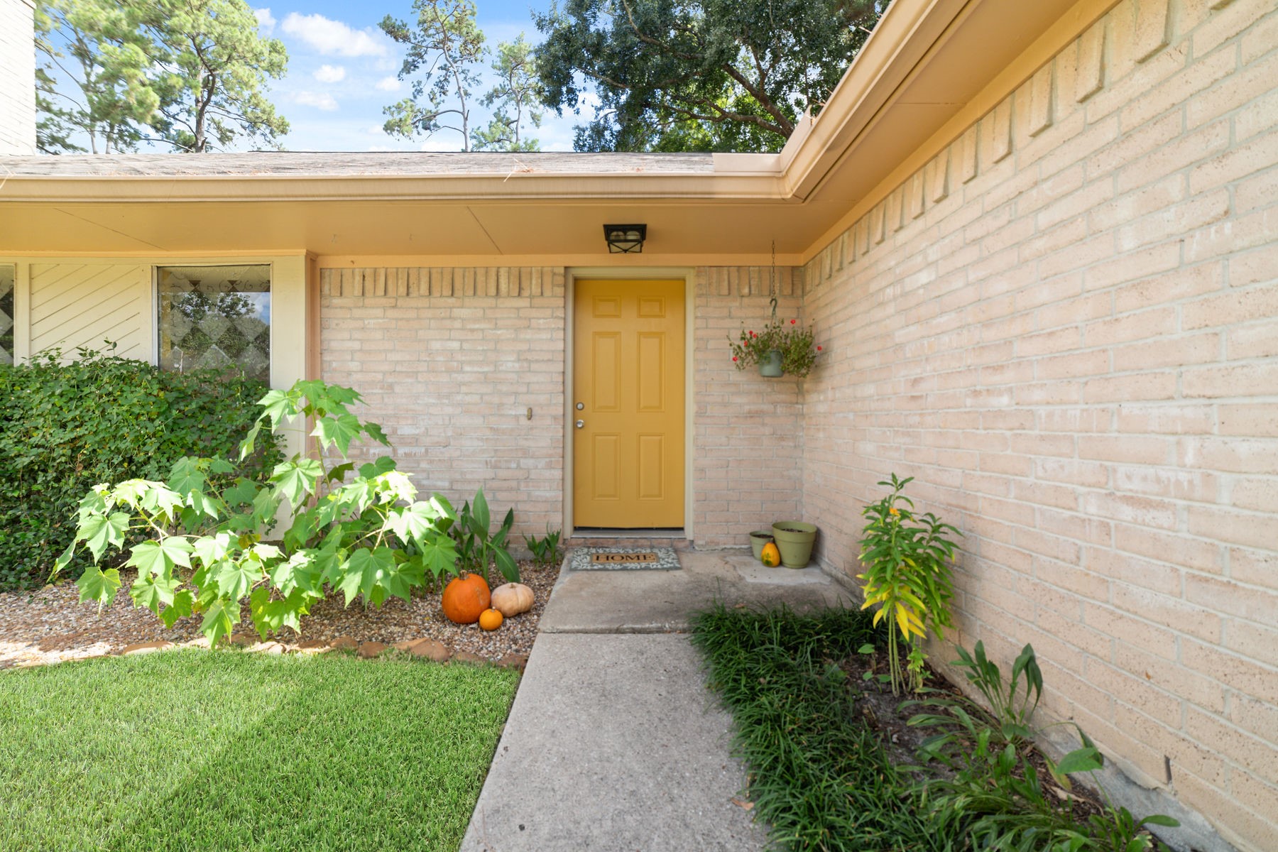 25402 Mill Pond Lane Spring, TX 77373 - Photo 5 of 22 a view of a garden with plants