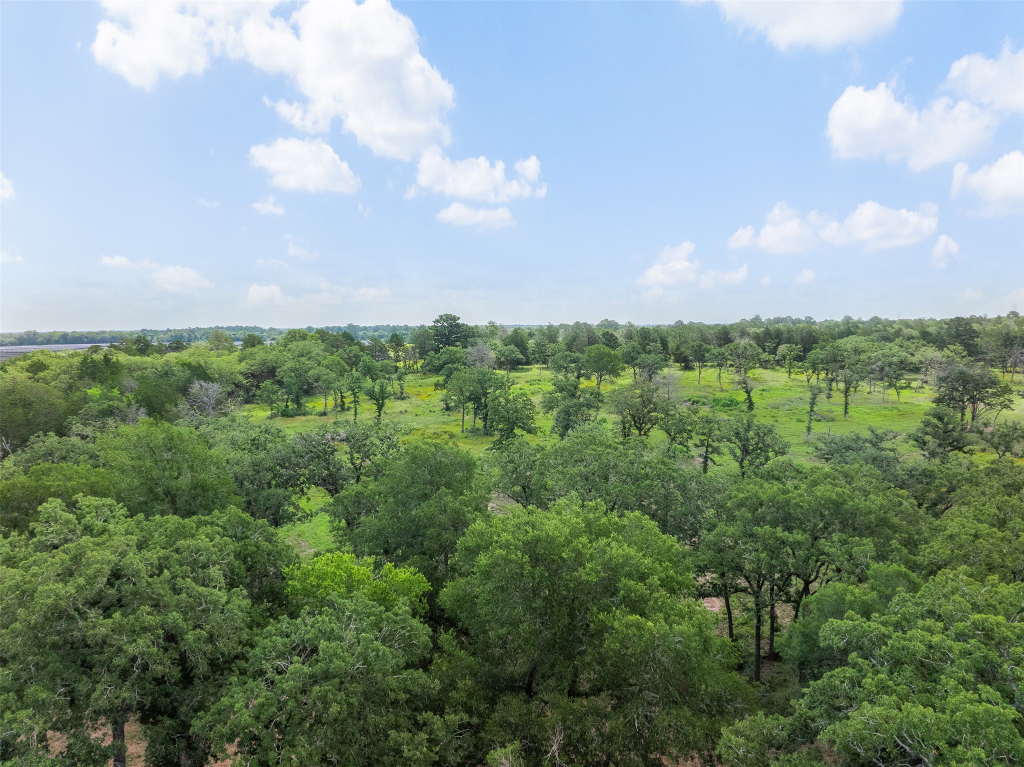 305 Cistern Road Rosanky, TX 78953 - Photo 11 of 13 Vast, verdant acreage beckons, offering a private rural retreat.