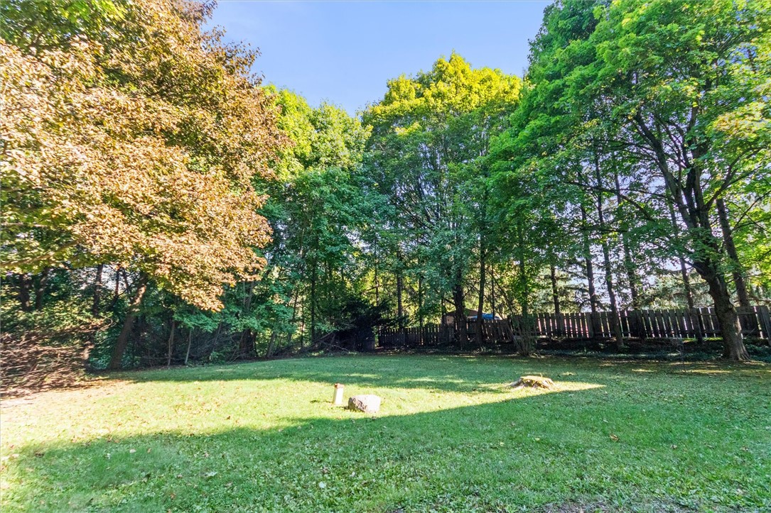 128 Vienna Road Arcadia, NY 14513 - Photo 13 of 42 back yard