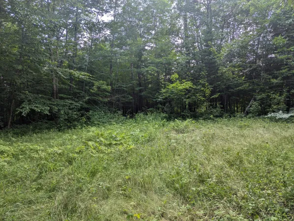 $19,900 | Lot 17 Quarry Avenue, Brownville, ME 04414