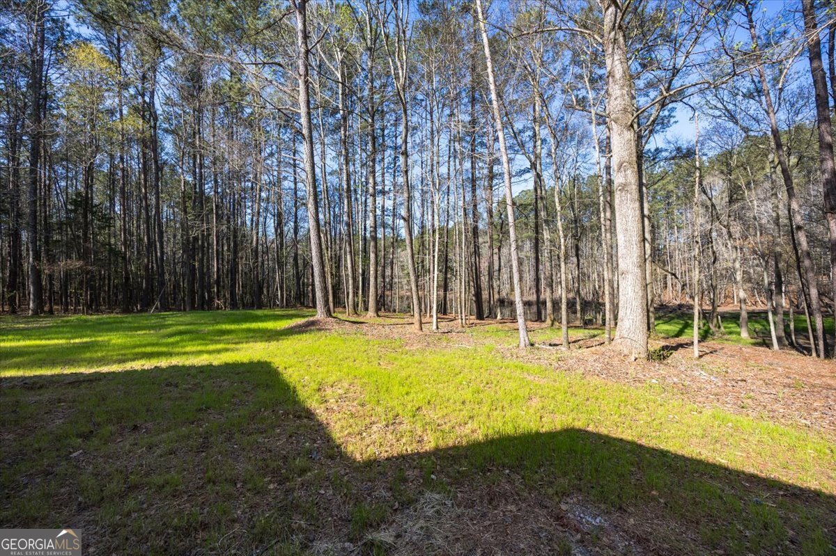 392 Highway 74 Molena, GA 30258 - Photo 27 of 42