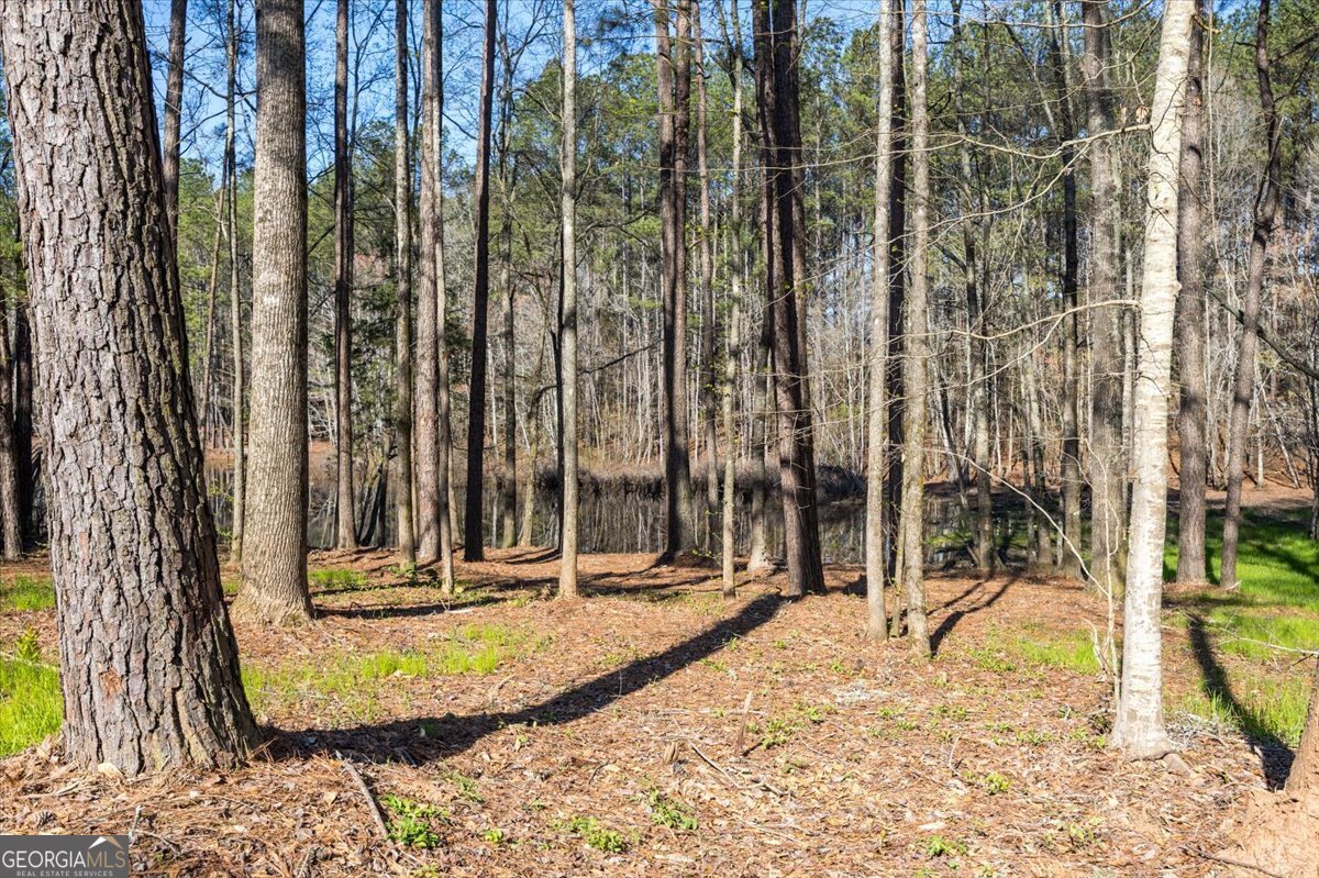 392 Highway 74 Molena, GA 30258 - Photo 29 of 42