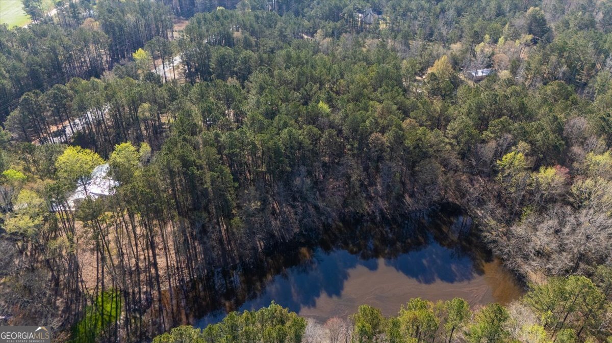 392 Highway 74 Molena, GA 30258 - Photo 38 of 42