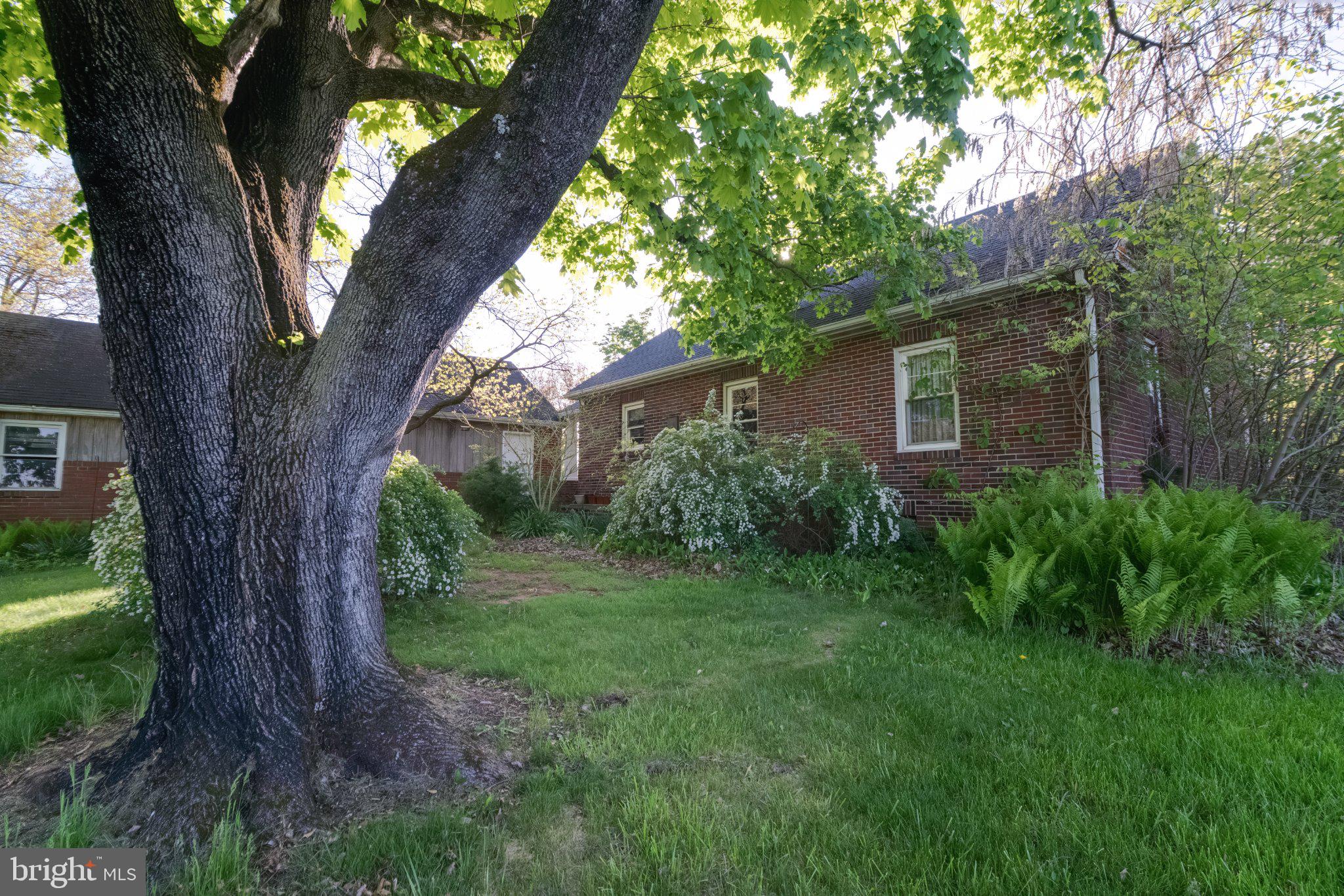 4330 Paradise Road Dover, PA 17315 - Photo 5 of 23 Charming brick home embraced by nature.