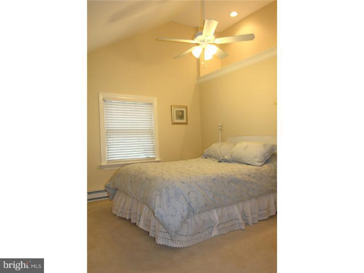 417 West Beechtree Lane Wayne, PA 19087 - Photo 17 of 23 Gallery Image 17