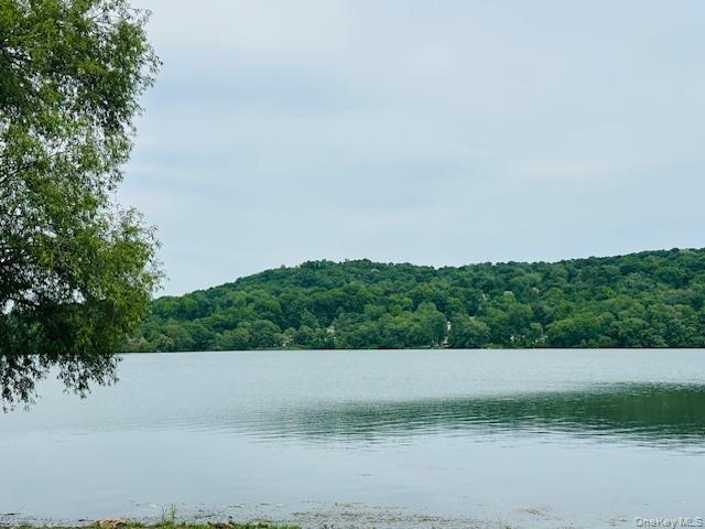 15 Roanoke Road Patterson, NY 12563 - Photo 38 of 48