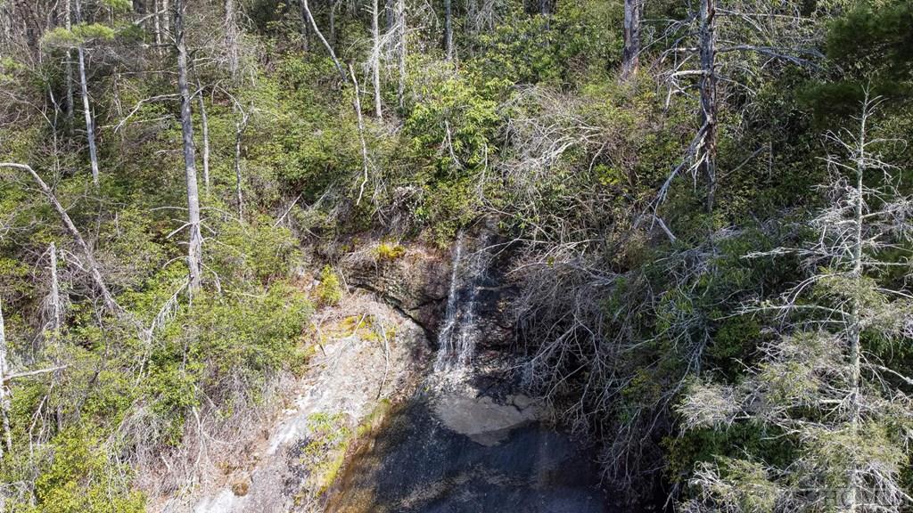 7 Tower Road Sapphire, NC 28774 - Photo 2 of 28 Gallery Image 2
