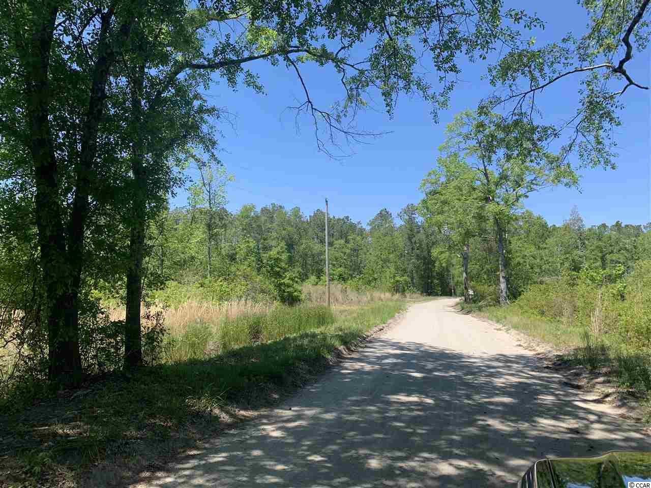 Lot 4 Mill Swamp Road Longs, SC 29568 - Photo 1 of 17 Gallery Image 1