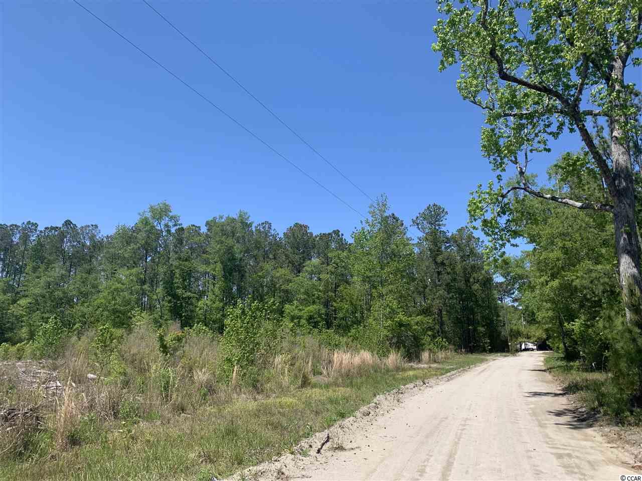 Lot 4 Mill Swamp Road Longs, SC 29568 - Photo 2 of 17 Gallery Image 2