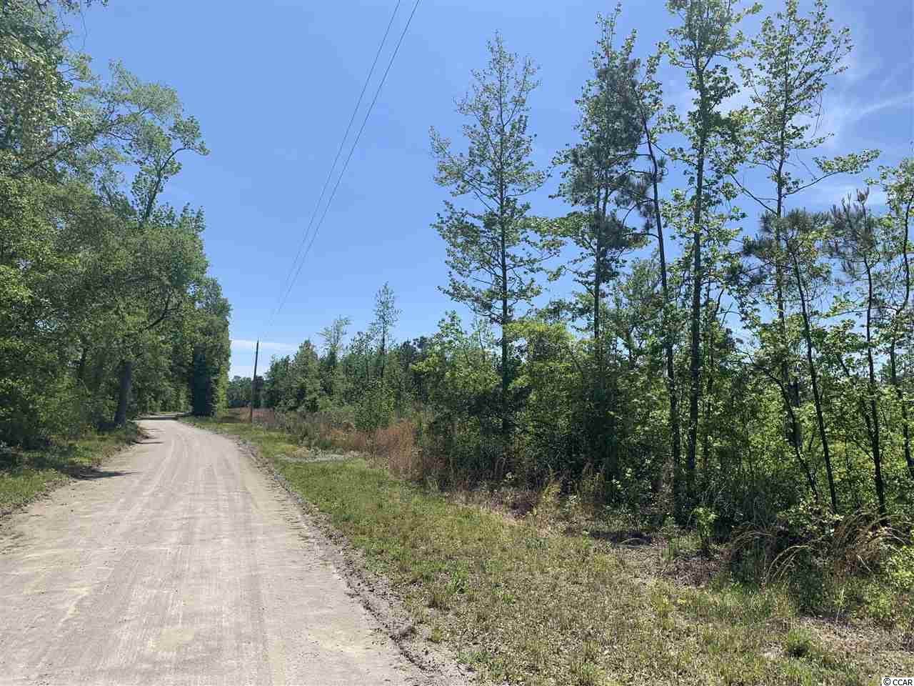 Lot 4 Mill Swamp Road Longs, SC 29568 - Photo 11 of 17 Gallery Image 11