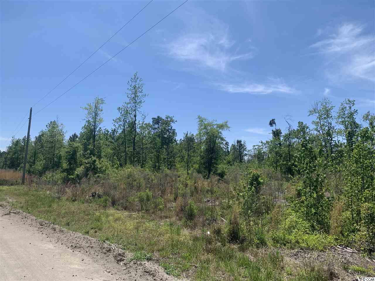 Lot 4 Mill Swamp Road Longs, SC 29568 - Photo 12 of 17 Gallery Image 12
