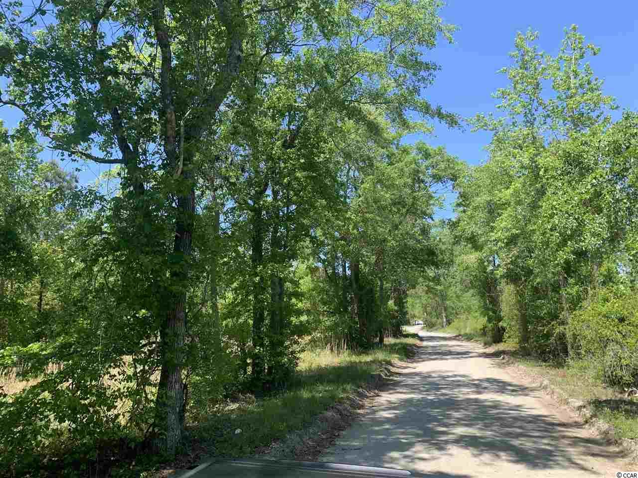Lot 4 Mill Swamp Road Longs, SC 29568 - Photo 14 of 17 Gallery Image 14