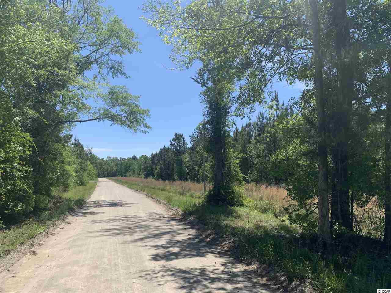 Lot 4 Mill Swamp Road Longs, SC 29568 - Photo 15 of 17 Gallery Image 15