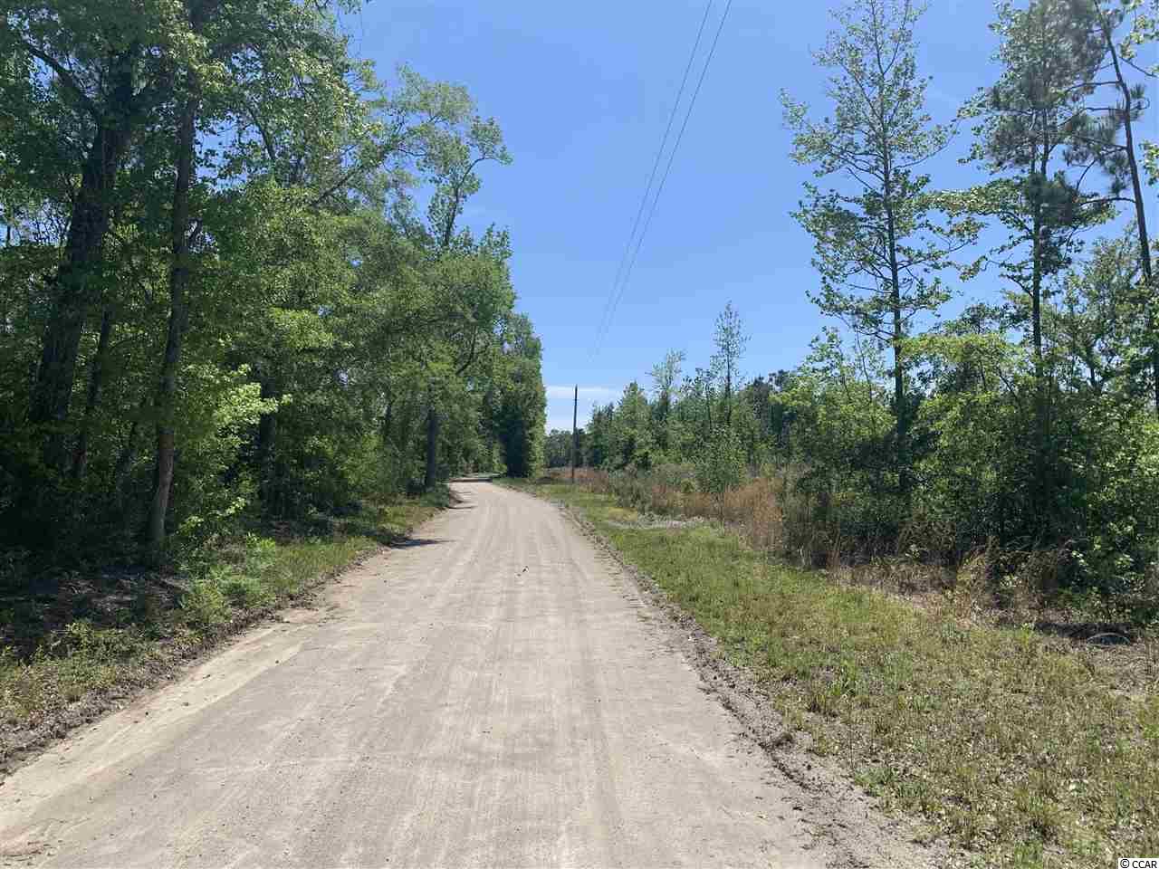 Lot 4 Mill Swamp Road Longs, SC 29568 - Photo 5 of 17 Gallery Image 5