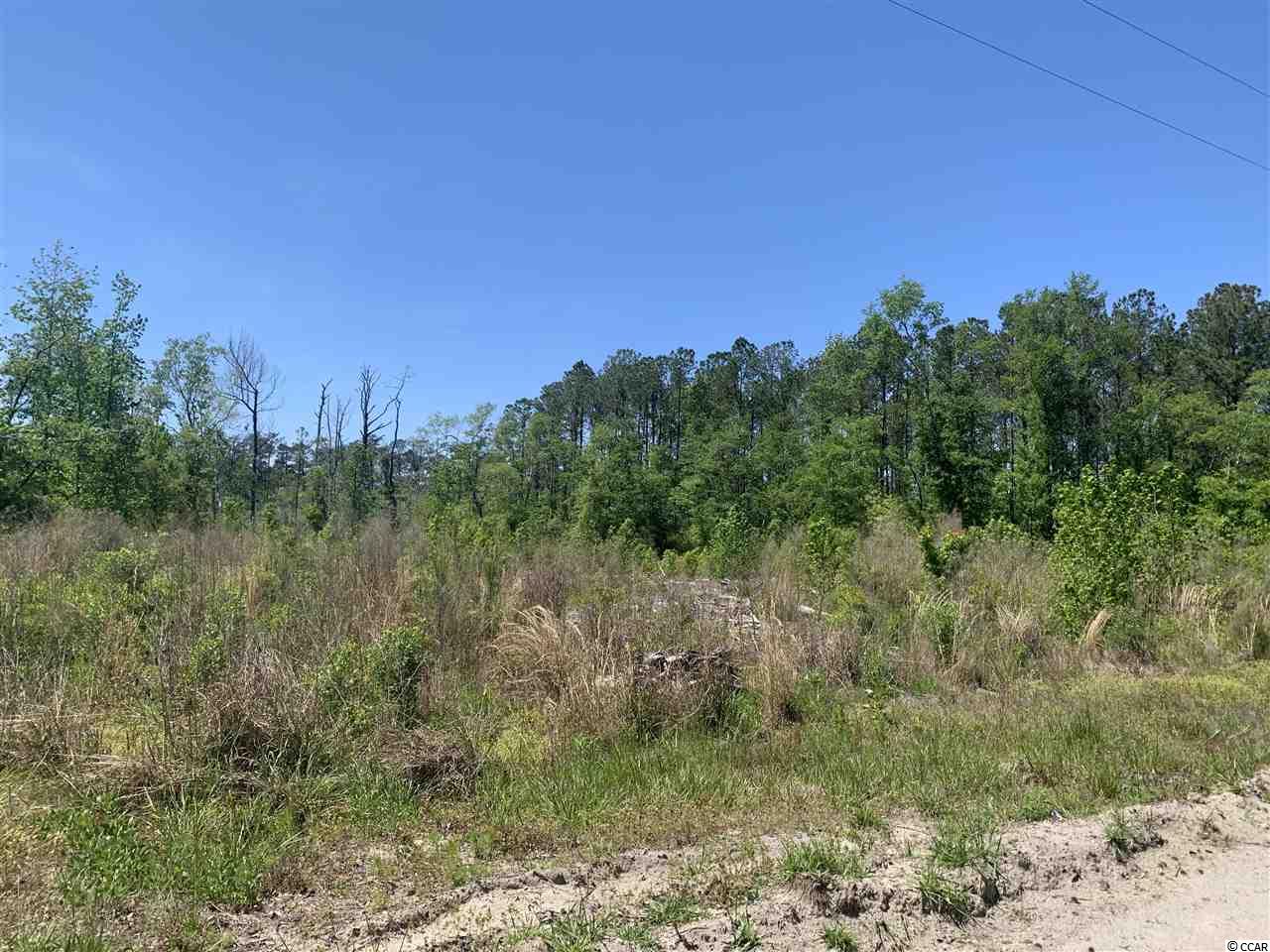 Lot 4 Mill Swamp Road Longs, SC 29568 - Photo 6 of 17 Gallery Image 6