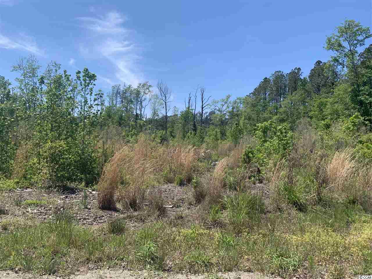 Lot 4 Mill Swamp Road Longs, SC 29568 - Photo 7 of 17 Gallery Image 7