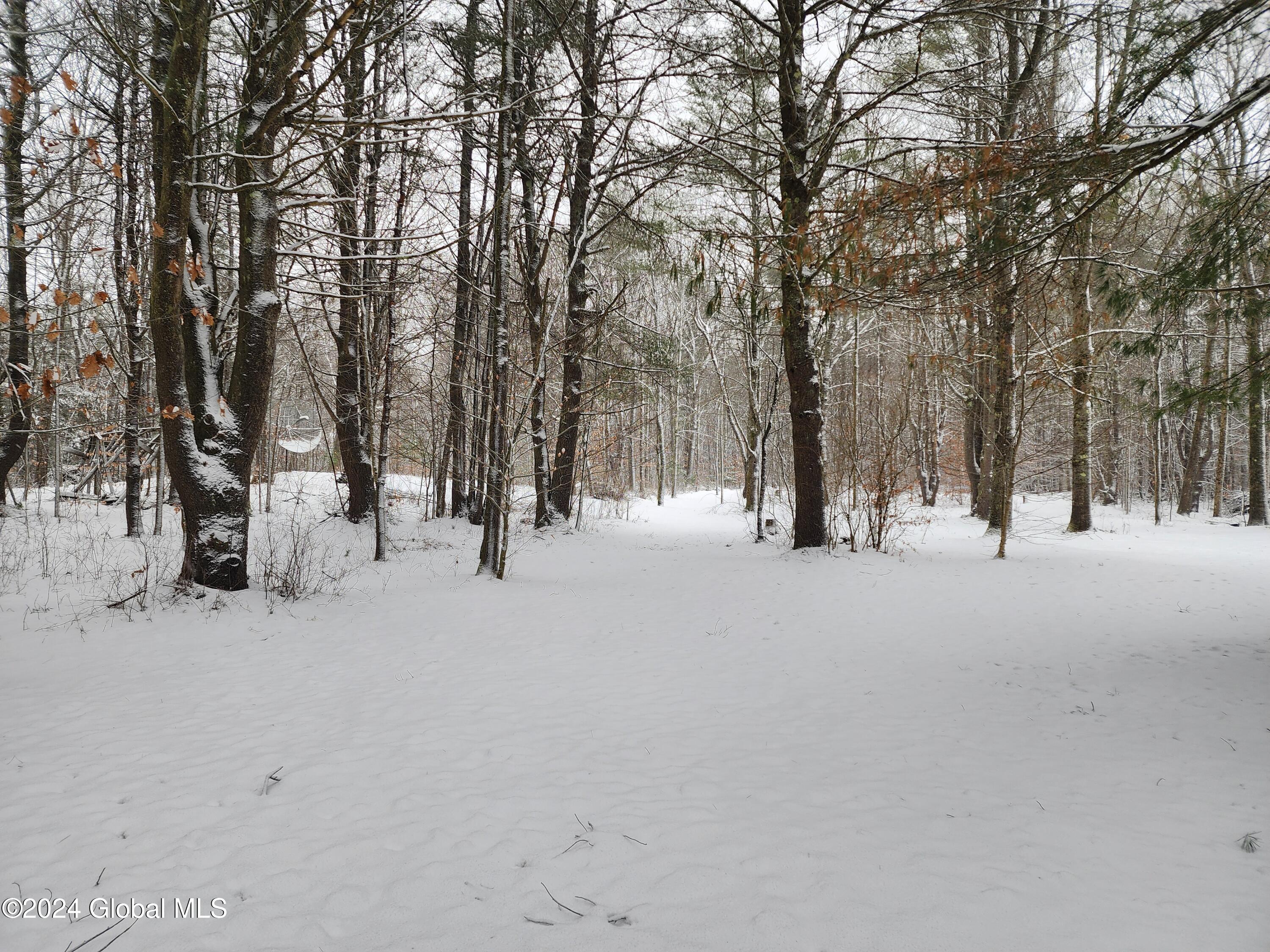 132 Fical Road Ephratah, NY 13452 - Photo 35 of 36 20241212_104605