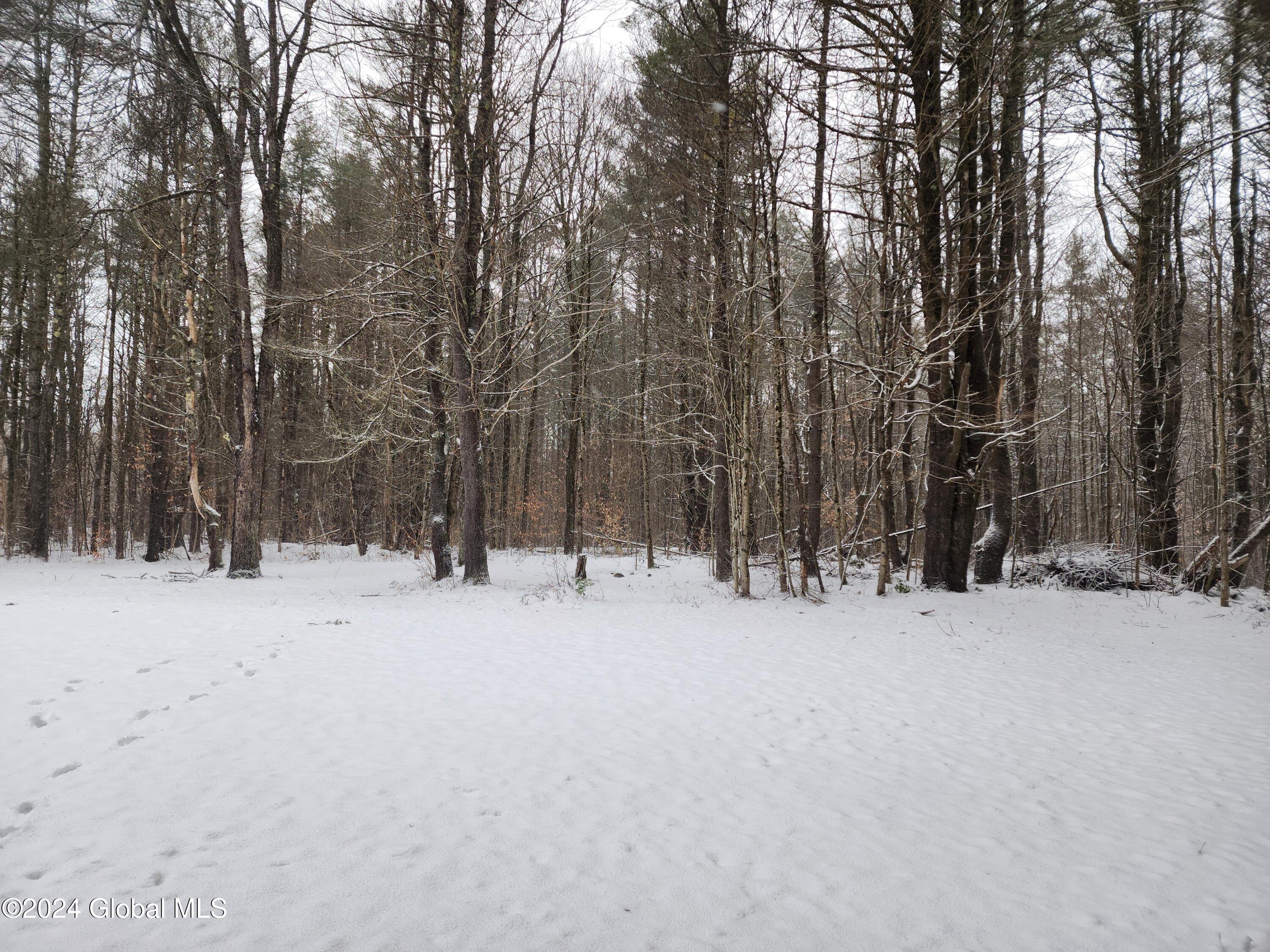 132 Fical Road Ephratah, NY 13452 - Photo 36 of 36 20241212_104609