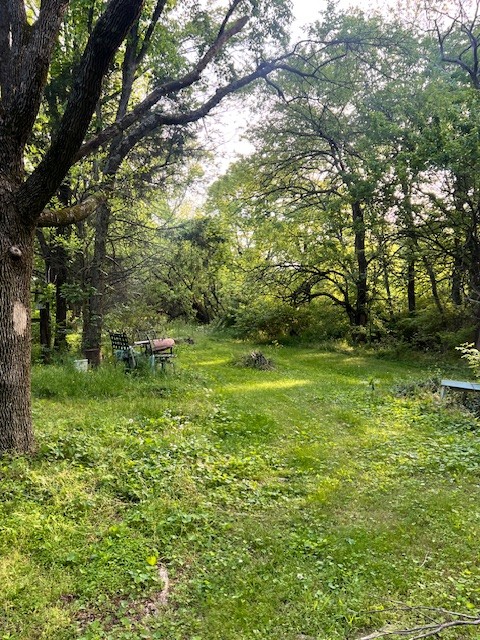 698 Clearview Road Cottontown, TN 37048 - Photo 10 of 23 a backyard of a house with a yard and outdoor seating