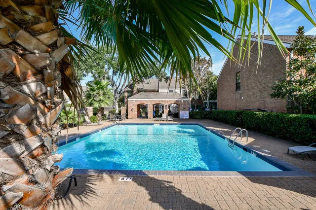 a view of a yard with plants