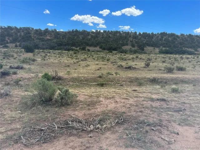 a view of ocean view with large trees