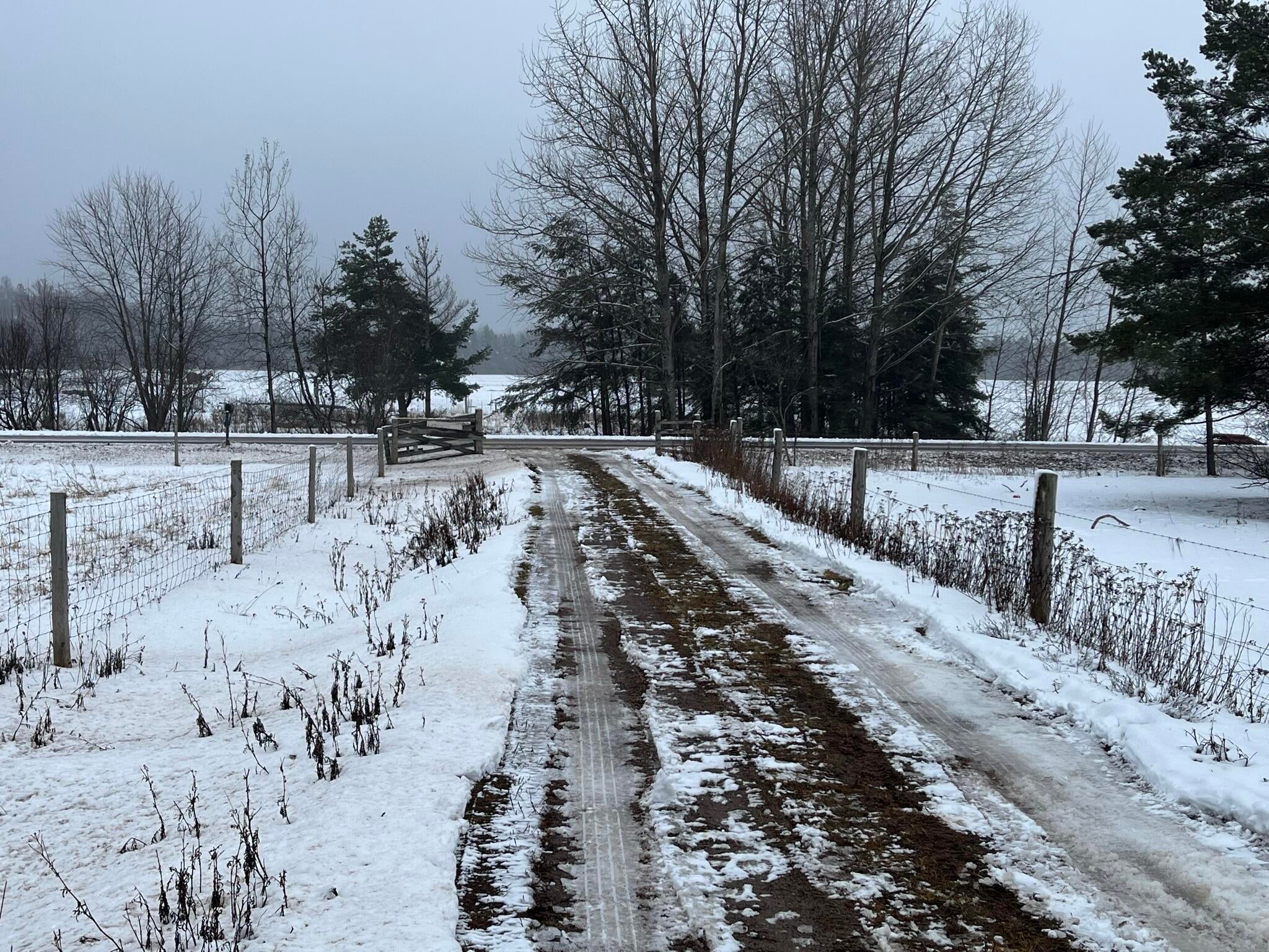 3568 West 10 Mile Road Dafter, MI 49724 - Photo 65 of 70 Gallery Image 65