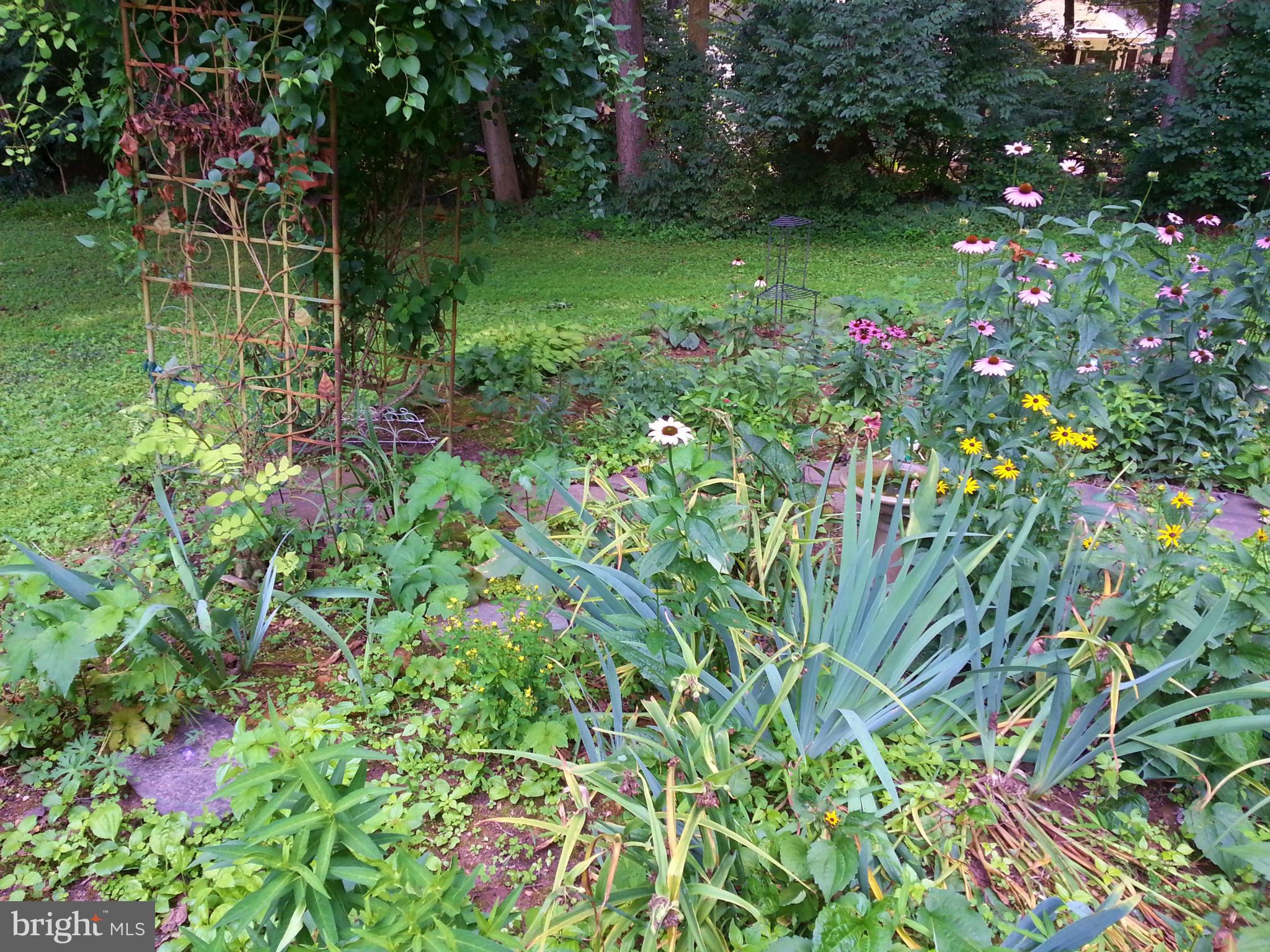 2554 Rambling Road Vienna, VA 22181 - Photo 20 of 28 Gardner's delight!