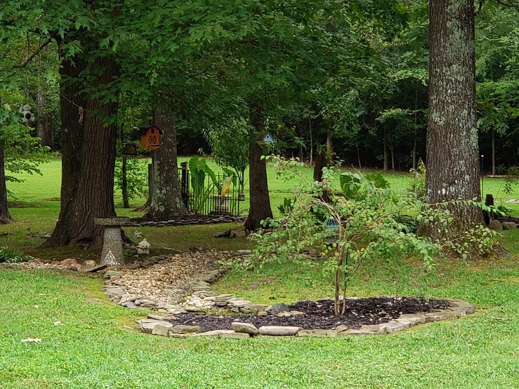 375 Todd Road Southeast Cleveland, TN 37323 - Photo 37 of 47 a view of a backyard with large trees