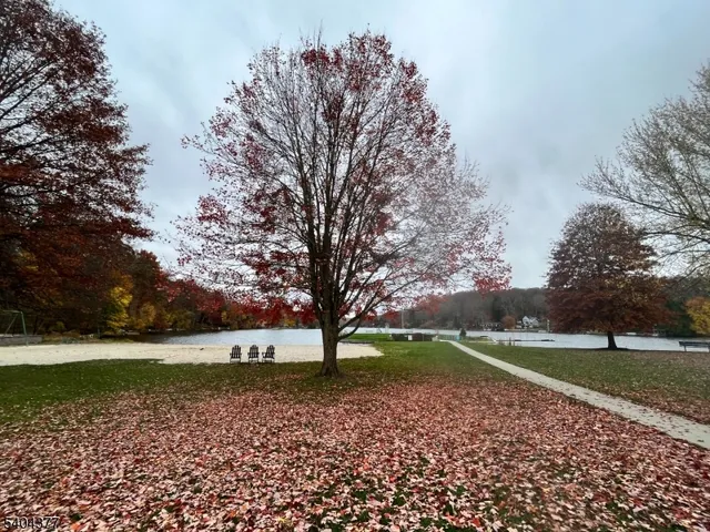 a view of backyard with green space