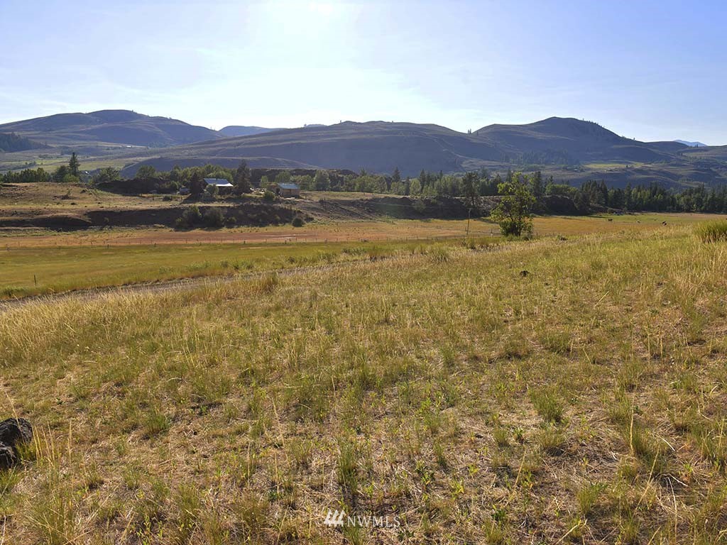 0 View Ridge Road Winthrop, WA 98862 - Photo 8 of 10 Gallery Image 8