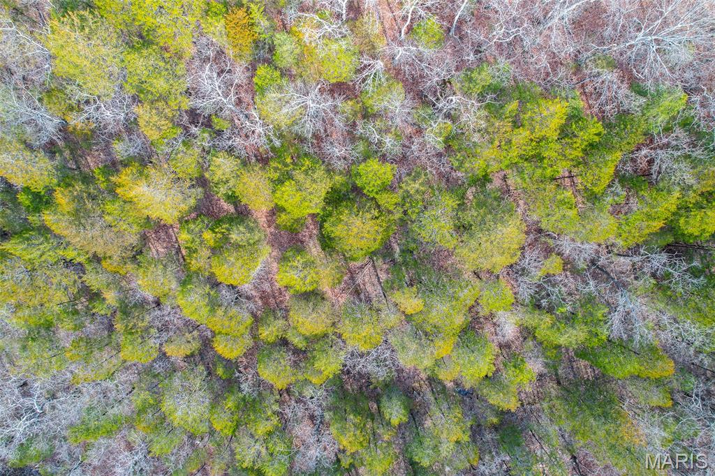 815 Sanctuary Farms Ridge Road Festus, MO 63028 - Photo 12 of 40