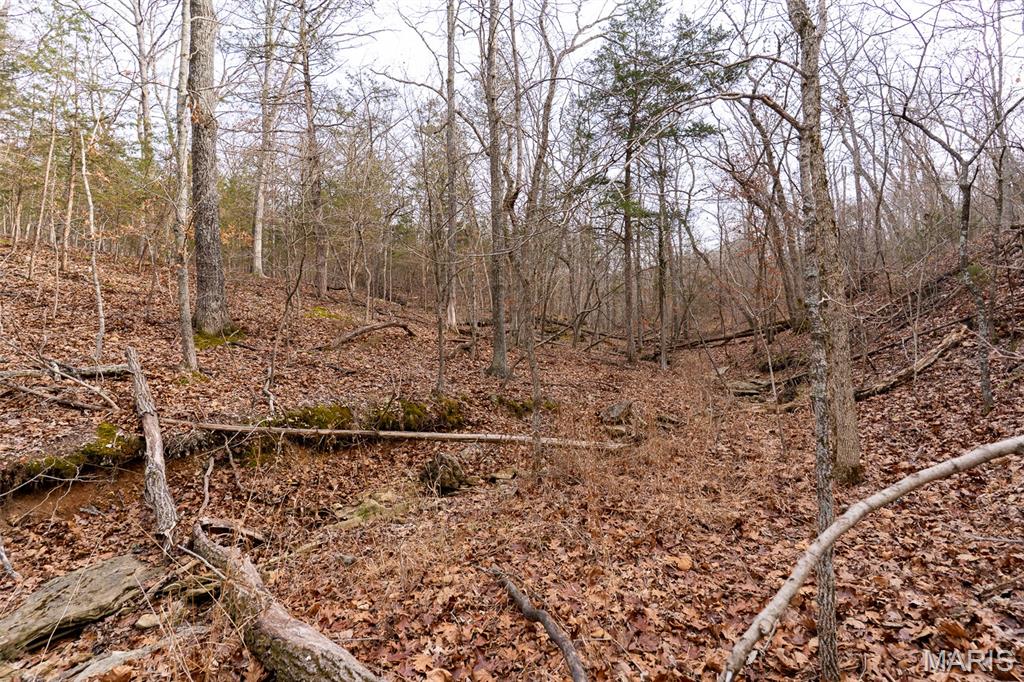 815 Sanctuary Farms Ridge Road Festus, MO 63028 - Photo 17 of 40