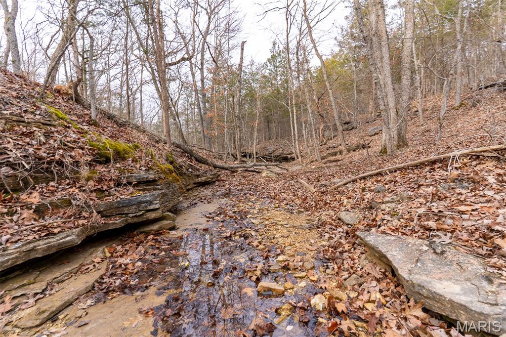 815 Sanctuary Farms Ridge Road Festus, MO 63028 - Photo 19 of 40