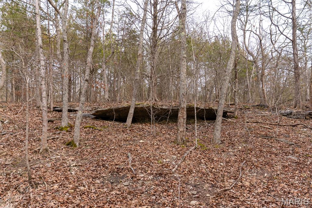 815 Sanctuary Farms Ridge Road Festus, MO 63028 - Photo 20 of 40