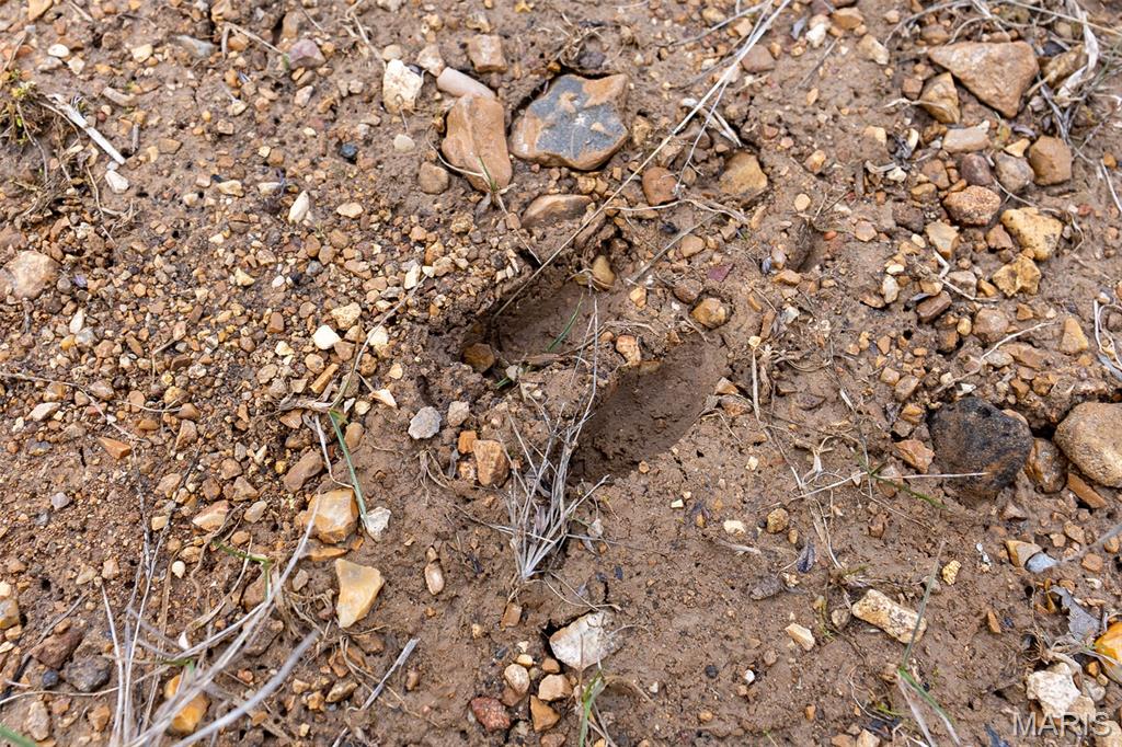 815 Sanctuary Farms Ridge Road Festus, MO 63028 - Photo 25 of 40