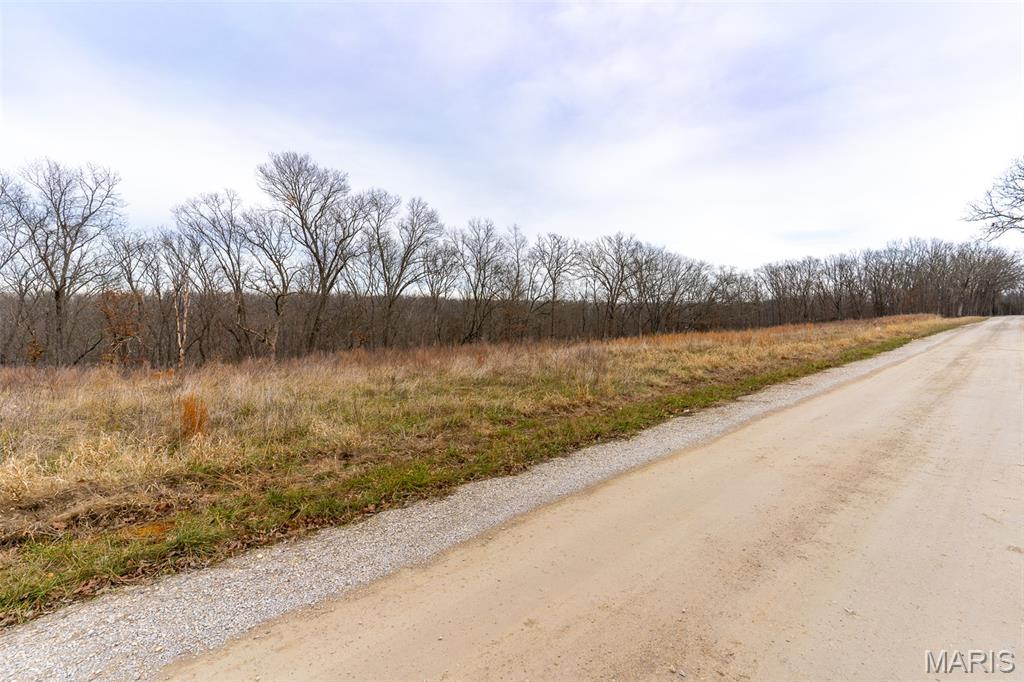 815 Sanctuary Farms Ridge Road Festus, MO 63028 - Photo 37 of 40