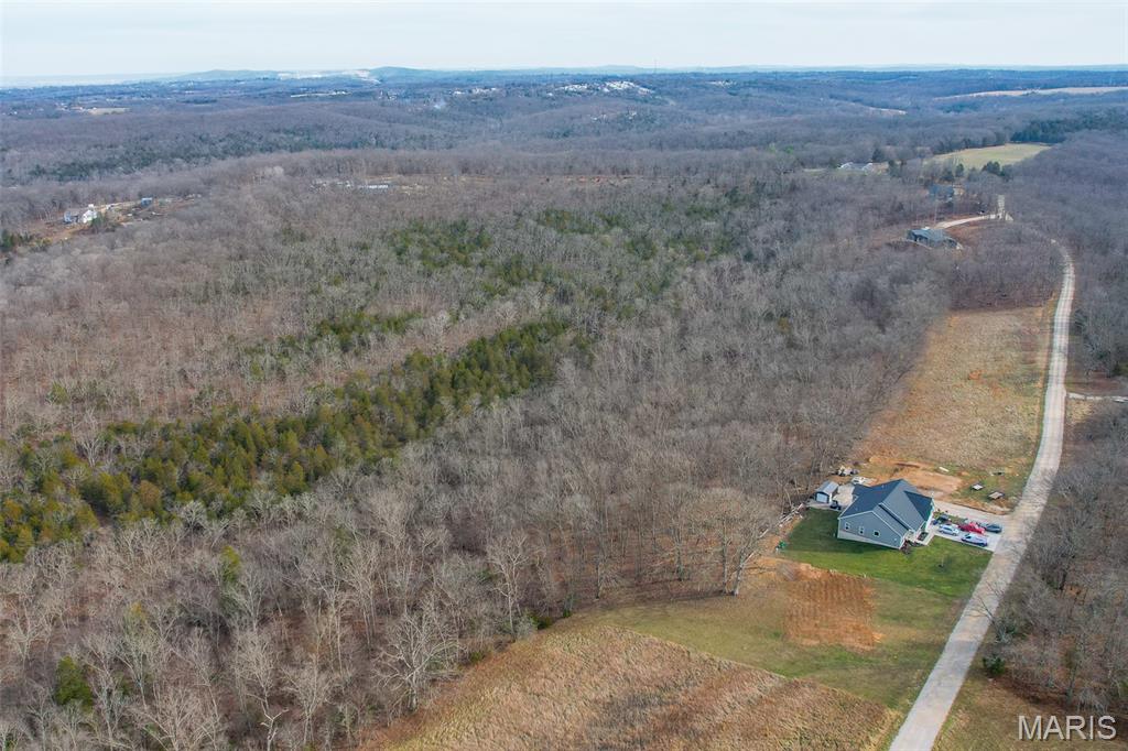 815 Sanctuary Farms Ridge Road Festus, MO 63028 - Photo 4 of 40