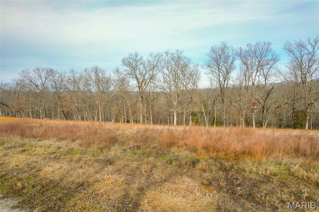 815 Sanctuary Farms Ridge Road Festus, MO 63028 - Photo 10 of 40