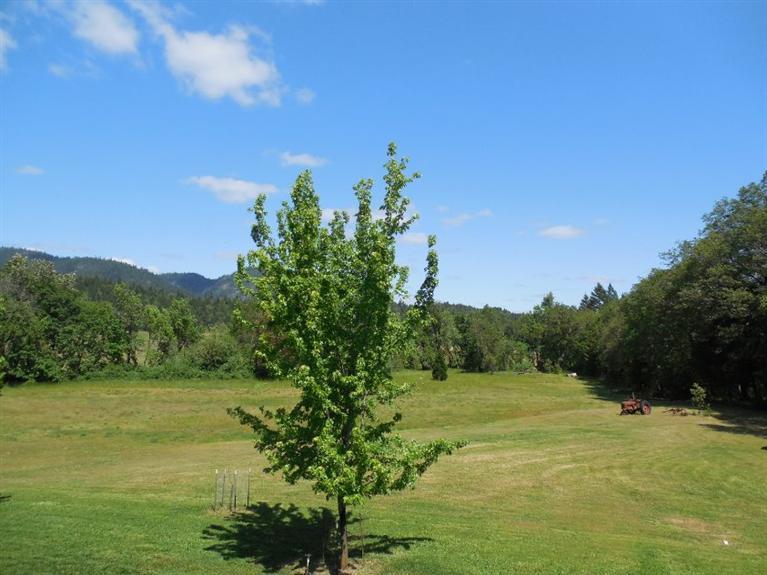 700 Dutcher Creek Road Grants Pass, OR 97527 - Photo 16 of 35 Additional Photo