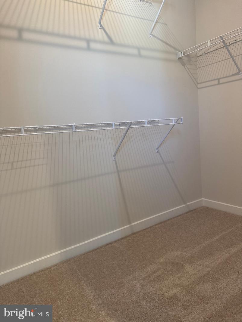 3809 Shale Ridge Road Woodbridge, VA 22193 - Photo 14 of 24 Master walk in closet