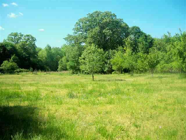 830 Jerusalem Road Pacolet, SC 29372 - Photo 17 of 25