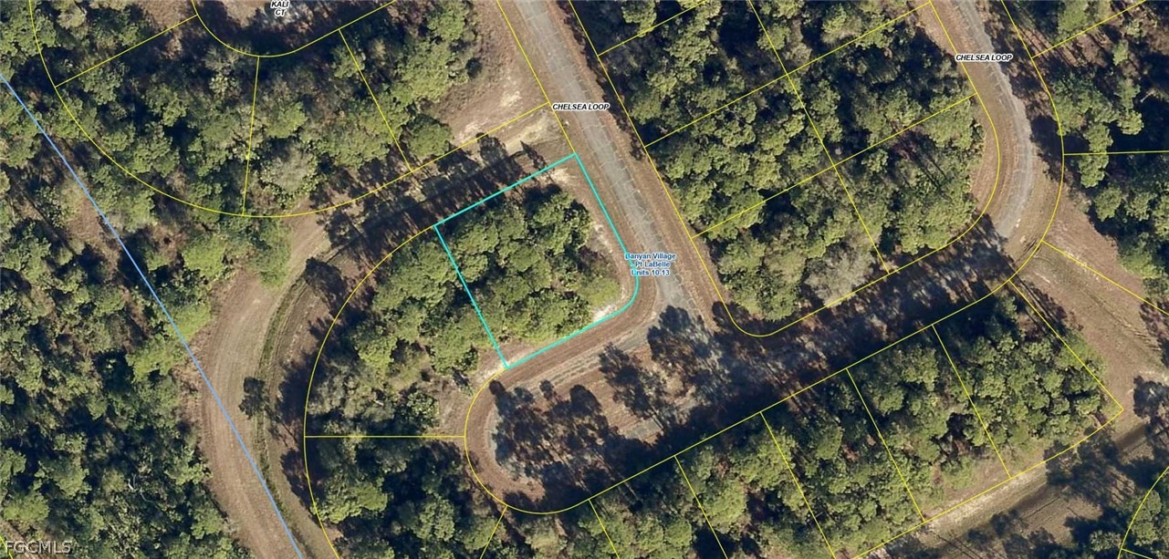 433 Chelsea Loop LaBelle, FL 33935 - Photo 1 of 4