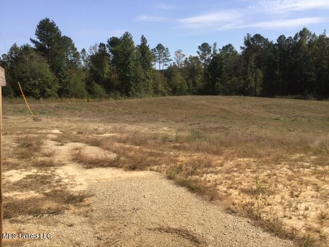 355 Ben Luckett Road Camden, MS 39045 - Photo 46 of 52 IMG_2155