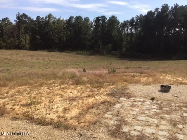 355 Ben Luckett Road Camden, MS 39045 - Photo 47 of 52 IMG_2156