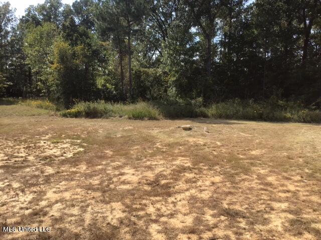 355 Ben Luckett Road Camden, MS 39045 - Photo 49 of 52 IMG_2158