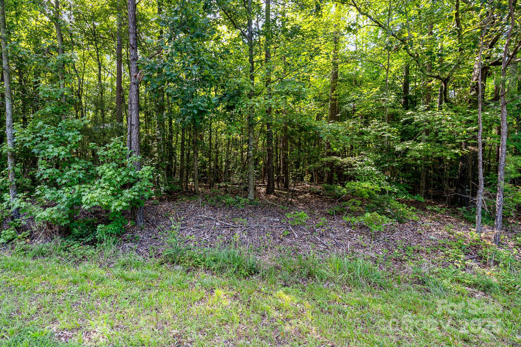0 Simpson Road Waxhaw, NC 28173 - Photo 5 of 18 Gallery Image 5
